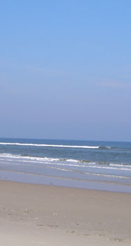 meer